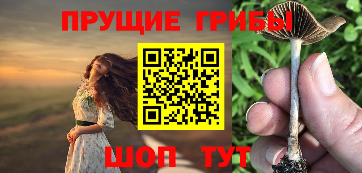 Псилоцибиновые грибы мухоморы  Псилоцибиновые грибы MAGIC MUSHROOMS  Вход с VPN  Кызыл 